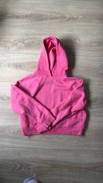 Hoodie roze amy en ivy, Ophalen of Verzenden, Zo goed als nieuw, Roze