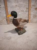 Woerd eend opgezette eend heel netjes en schoon., Ophalen of Verzenden