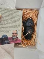 Sammy Family Mol Figuur, Ophalen of Verzenden, Nieuw, Dier