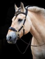 Nieuw bitloos hoofdstel  maat cob, Dieren en Toebehoren, Paarden en Pony's | Hoofdstellen en Tuigage, Nieuw, Ophalen of Verzenden