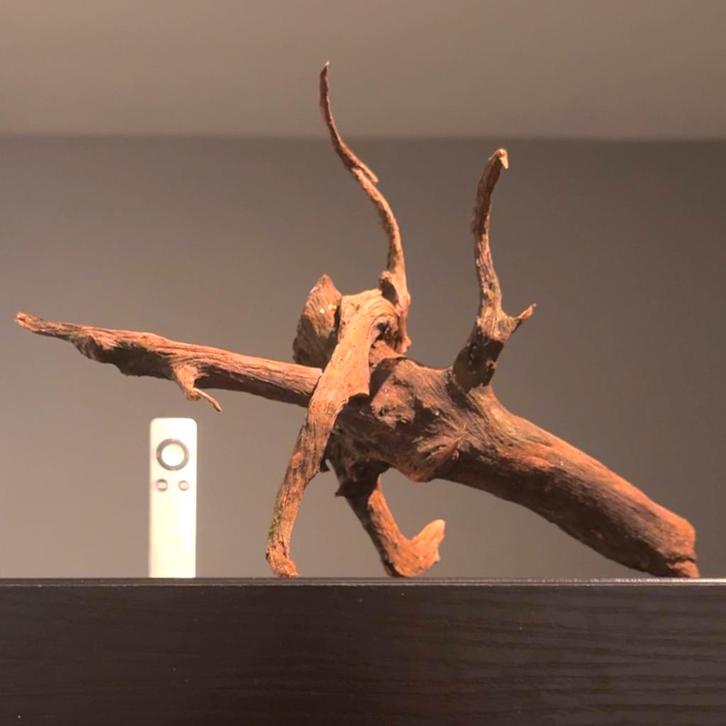 Uniek stuk Kienhout / Driftwood / Spiderwood, Hout Decoratie, Dieren en Toebehoren, Vissen | Aquaria en Toebehoren, Plant(en), Steen of Hout