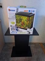 SuperFish aquarium wit (25 liter) met meubel, Dieren en Toebehoren, Ophalen, Zo goed als nieuw, Leeg aquarium