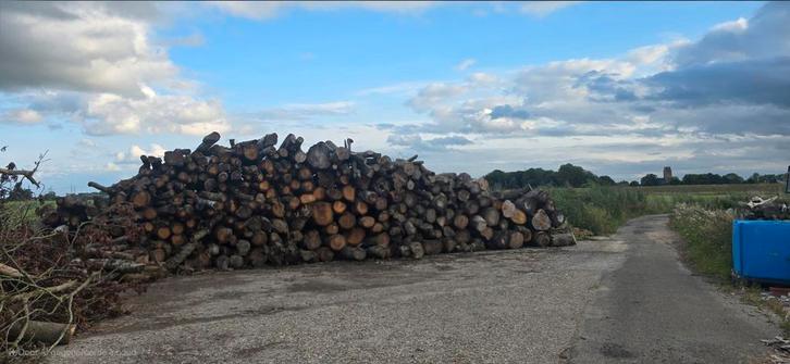 Rondhout stamhout, Tuin en Terras, Haardhout, Stammen, Overige houtsoorten, Ophalen of Verzenden