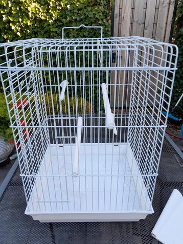 Vogelkooi parkietenkooi beschikbaar voor biedingen