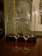 Svalka champagneglazen - 52 stuks, Ophalen of Verzenden