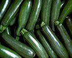 Courgette Black Beauty, Ophalen of Verzenden, Voorjaar, Volle zon, Zaad