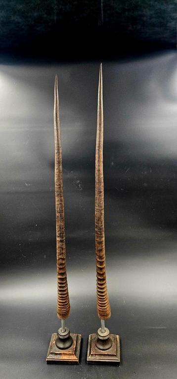 Oryx op rvs stang sokkel hout Antiqua look set van 2 Namibië beschikbaar voor biedingen