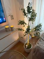 Kunst Olijfboom - Sfeervolle Decoratie, Huis en Inrichting, Ophalen of Verzenden, Nieuw, Binnen