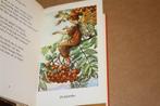 Bloemenkinderen van de herfst. Cicely Mary Barker., Ophalen of Verzenden, Gelezen