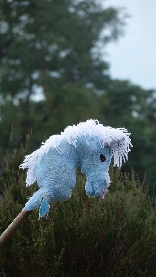 Prachtige blauwe hobbyhorse, Kinderen en Baby's, Speelgoed | Hobbelfiguren, Zo goed als nieuw, Ophalen of Verzenden