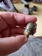 Nijlpaard labradoriet, Ophalen of Verzenden