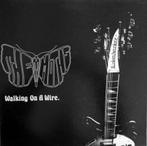 the moths / walking on a wire - garage/punk, Verzenden, Gebruikt, 12 inch, Alternative