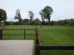 Weide en stalling gezocht!, Dieren en Toebehoren, Stalling en Weidegang, Weidegang, 2 of 3 paarden of pony's