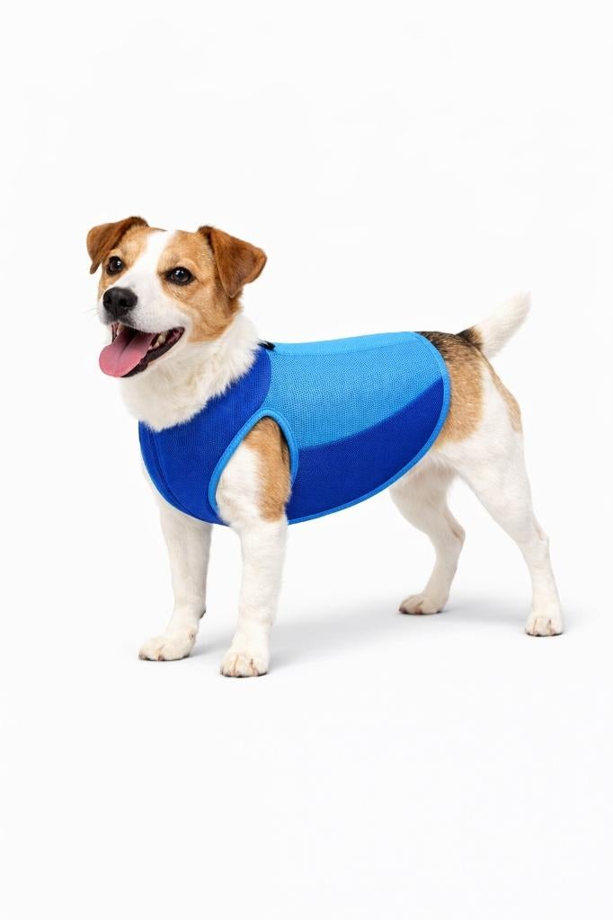 Partij huisdierproducten koelvesten voor honden maat S