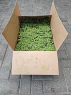 3 KG DOOS NOORS RENDIERMOS, VOOR HET MAKEN VAN MOSSCHILDERIJ, Ophalen of Verzenden, Nieuw