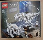 LEGO Ideas 21320 dinosaurusfossielen, Ophalen of Verzenden, Nieuw, Complete set, Lego