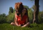 Stalling/ weide gezocht, Dieren en Toebehoren, Stalling en Weidegang, Weidegang, 1 paard of pony