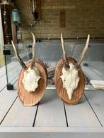2 ree geweitjes, Ophalen of Verzenden