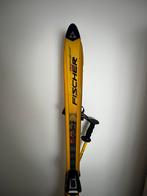 Fischer Ski's (148 cm) + Nordica Schoenen 37/38  & Stokken, Ophalen, 140 tot 160 cm, Carve, Skiën