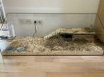 Uniek glazen Caviaverblijf, evt met plateau en trap, op maat, Cavia, Minder dan 60 cm, 75 tot 110 cm, Hok