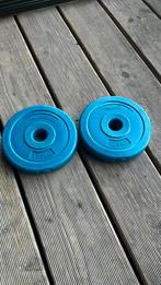 Halterschijven dumbell 2x 1.25kg 31mm, Ophalen of Verzenden, Zo goed als nieuw