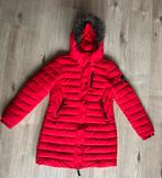 Superdry jas, Maat 38/40 (M), Superdry, Ophalen of Verzenden, Zo goed als nieuw