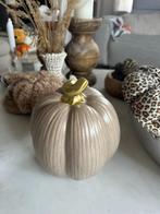 Stenen Taupe Pompoen / Pumkin, Ophalen of Verzenden, Zo goed als nieuw, Feestartikel