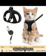 Kattentuigje met riem/looplijn, Dieren en Toebehoren, Ophalen, Nieuw
