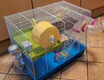 Te koop grote ferplast hamsterkooi met alles erbij, Dieren en Toebehoren, Knaagdieren en Konijnen | Hokken en Kooien, Minder dan 60 cm