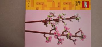 LEGO 40725 Cherry Blossoms - Nieuw in doos! beschikbaar voor biedingen