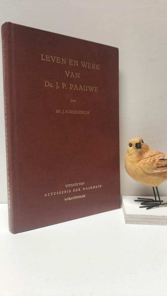 Koolschijn, Mr. J.H.; Leven en werk van Ds J.P. Paauwe, Boeken, Godsdienst en Theologie, Gelezen, Christendom | Protestants, Ophalen of Verzenden