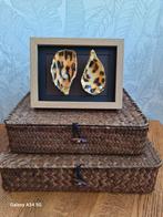 Handgemaakte Oesterschelpen Tijgerprint Decoratie, Ophalen of Verzenden, Nieuw