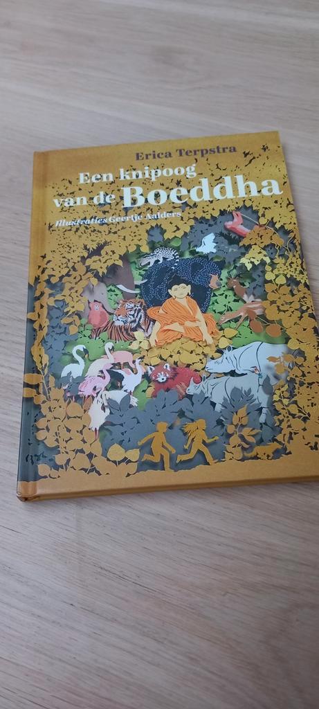 Een knipoog van de Boeddha - Erica Terpstra, Boeken, Godsdienst en Theologie, Zo goed als nieuw, Boeddhisme, Ophalen of Verzenden