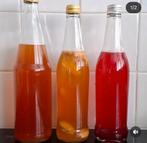Kombucha zelf maken scoby met vloeistof, Ophalen of Verzenden