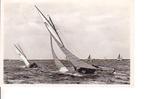 Ansichtkaart 	Sneek	Sneekermeer	Zeilsport, Verzenden, 1940 tot 1960, Gelopen, Friesland