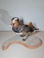 Opgezette mandarijneend. Taxidermie. Landelijk decoratief, Verzamelen, Dierenverzamelingen, Ophalen of Verzenden, Zo goed als nieuw