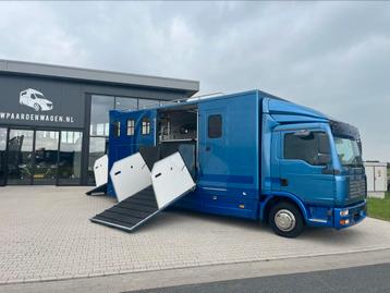 MAN 5 paards Paardenvrachtwagen aluminium bodem beschikbaar voor biedingen
