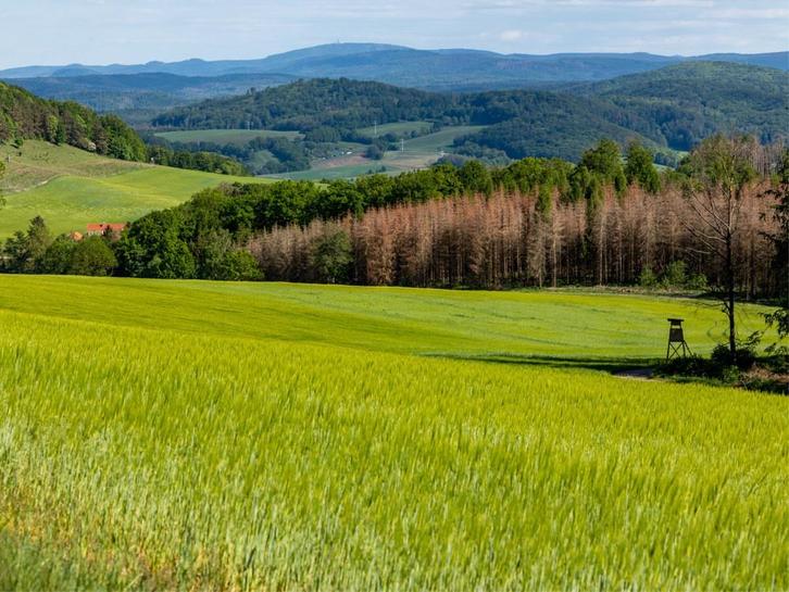 Woning met vakantiewoningen in Duitsland, Huizen en Kamers, Buitenland, Duitsland, Woonhuis, Landelijk, Verkoop zonder makelaar