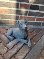 Betonbeeld Jack Russel, Ophalen, Nieuw, Beton, Dierenbeeld