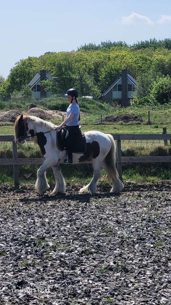 2 verzorger/leasers/bijrijders aangeboden!, Dieren en Toebehoren, Paarden en Pony's | Overige Paardenspullen, Nieuw, Overige soorten
