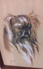 Gesigneerde hond tekening in lijst met glas:40x32cm, Antiek en Kunst, Ophalen