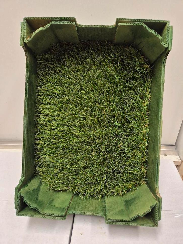 Surprise sportveld, kunstgrasveld voor voetbal, hockey ⚽️, Diversen, Sinterklaas, Ophalen of Verzenden