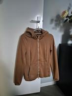 Prachtig Pikeur vest maat M, Ophalen of Verzenden, Zo goed als nieuw, Dames, Bovenkleding