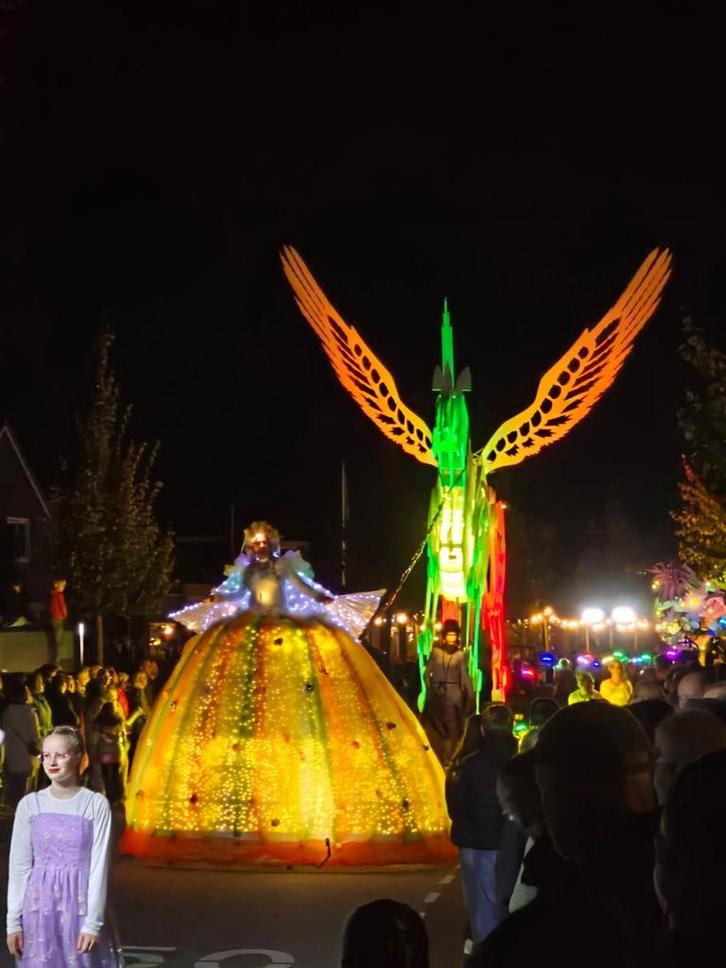 Carnaval Unicorn paard incl kleding en jurk, Tickets en Kaartjes, Recreatie | Pretparken en Attractieparken, Eén persoon, Overige typen