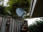 Te koop schotel, Ophalen of Verzenden, Gebruikt, Antenne