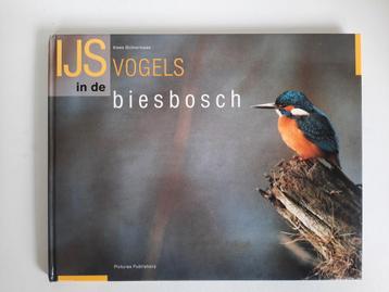 IJsvogels in de Biesbosch . Kees Bolkenbaas beschikbaar voor biedingen