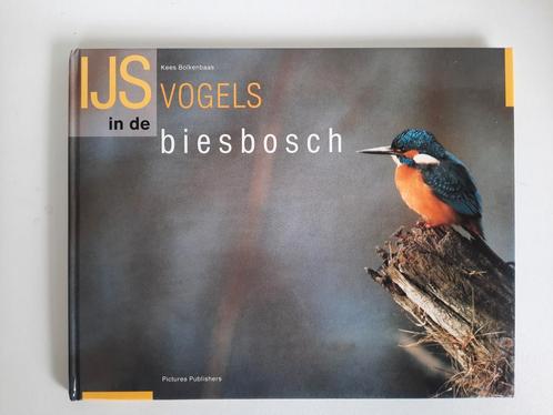 IJsvogels in de Biesbosch . Kees Bolkenbaas, Boeken, Natuur, Zo goed als nieuw, Vogels, Ophalen of Verzenden