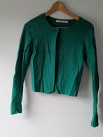 Lieflijk, katoenen vestje: STEPS XS, Ophalen of Verzenden, Zo goed als nieuw, Maat 34 (XS) of kleiner