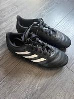 Adidas voetbal schoenen maat 36,5, Sport en Fitness, Voetbal, Maat XS of kleiner, Ophalen of Verzenden, Zo goed als nieuw, Schoenen
