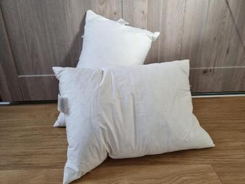 Twee mooie eendeveren kussens beschikbaar voor biedingen